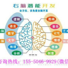 廈門學之源科技開發公司 專注早教教材與幼教產品，引領信息技術咨詢服務